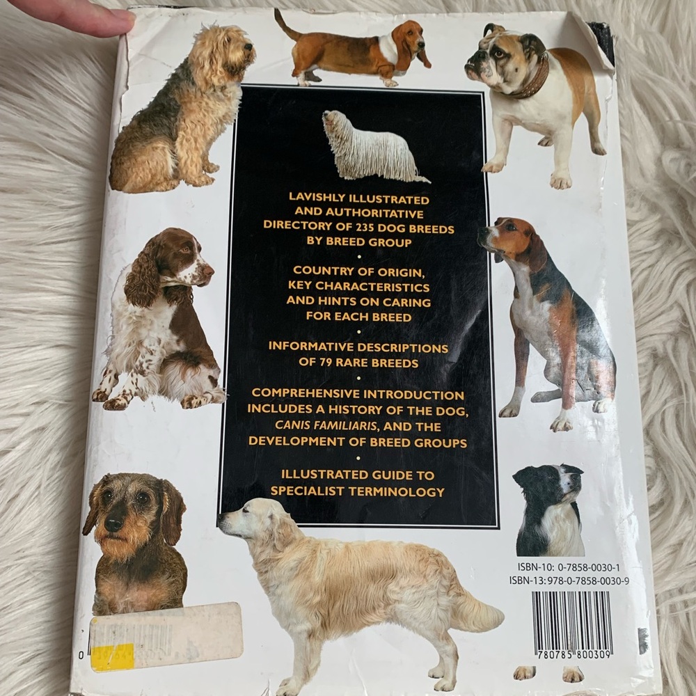 The Illustrated Encyclopedia of Dog Breeds - Picture 7 of 7